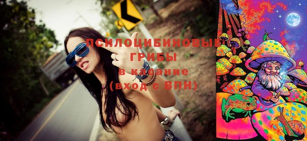 меф Богородицк