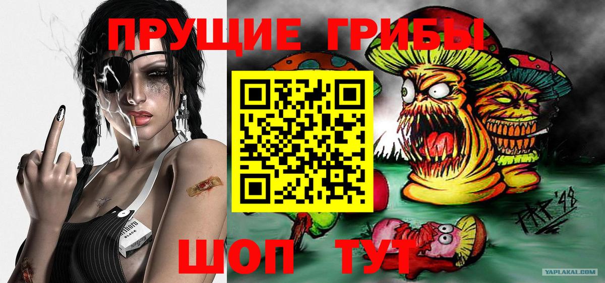 Псилоцибиновые грибы Psilocybine cubensis  Вход с VPN  Шатура 