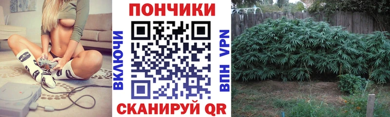 купить  сайты  Шатура  Конопля MAZAR 